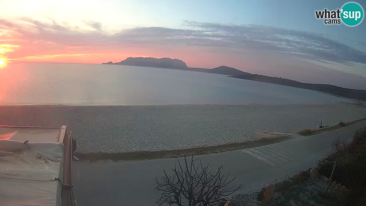 La plage de Pittulongu en direct webcam Olbia – Sardaigne – Italie