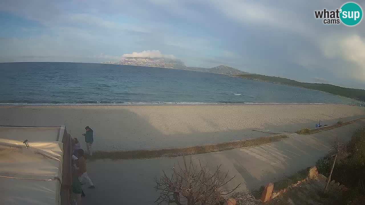 The beach of Pittulongu live webcam Olbia – Sardinia – Italy