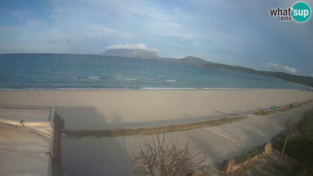 La webcam spiaggia Pittulongu vicino Olbia – Sardegna