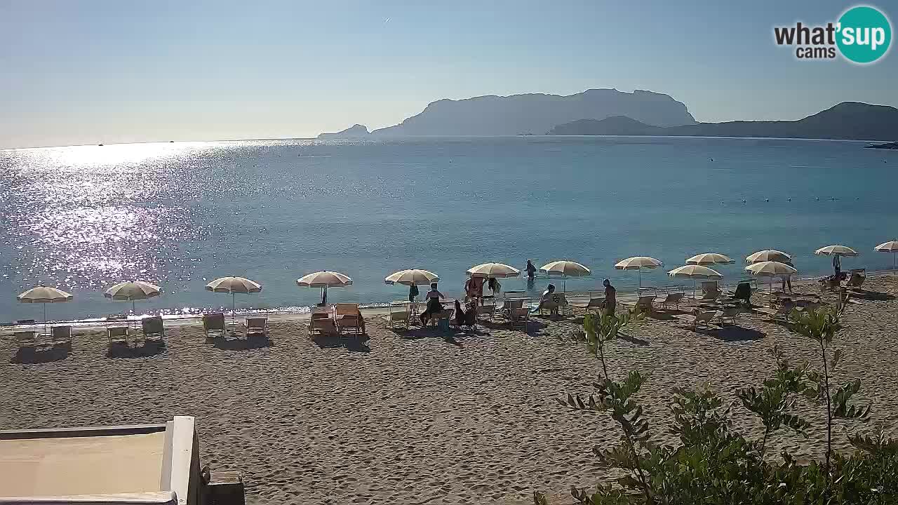 Der Strand von Pittulongu Live-Webcam Olbia – Sardinien – Italien