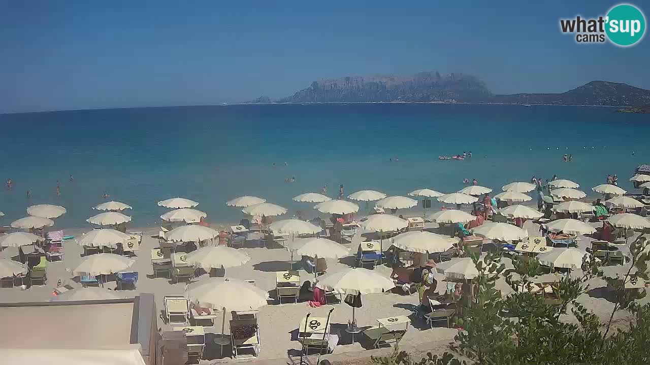 La webcam spiaggia Pittulongu vicino Olbia – Sardegna