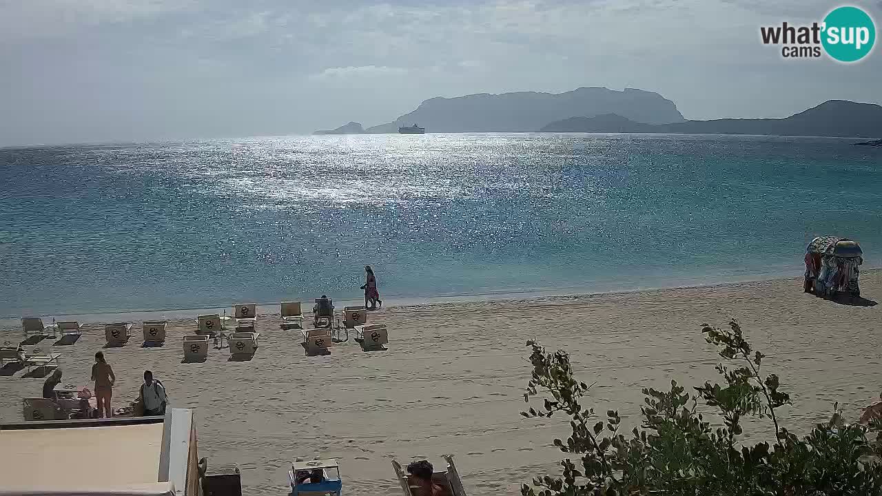 Plaža Pittulongu uživo web kamera Olbia – Sardinija – Italija