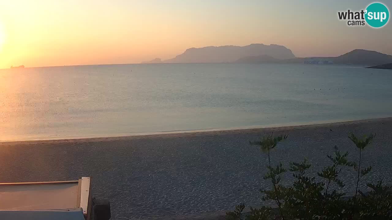 Plaža Pittulongu spletna kamera v živo Olbia – Sardinija – Italija