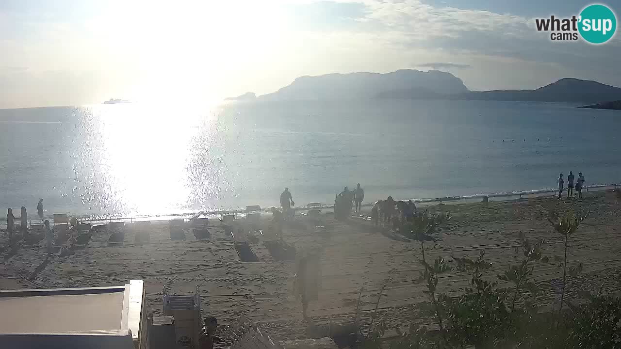 Der Strand von Pittulongu Live-Webcam Olbia – Sardinien – Italien