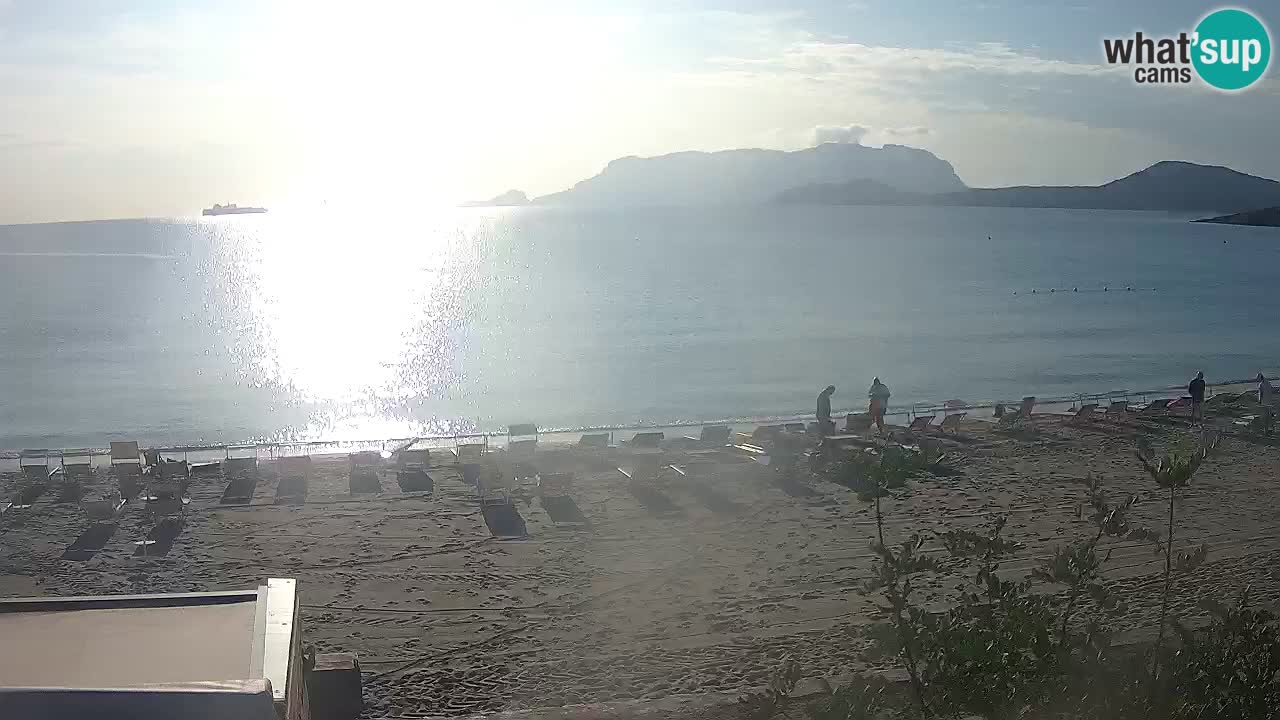 La plage de Pittulongu en direct webcam Olbia – Sardaigne – Italie