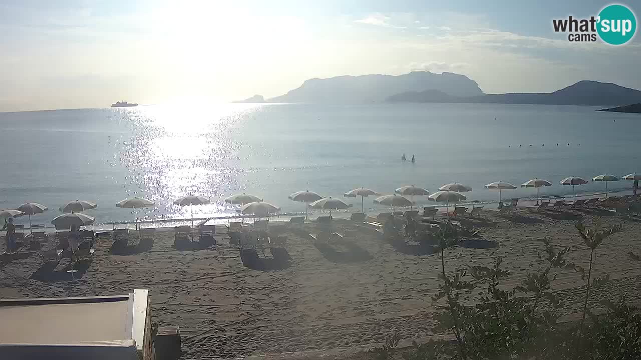 Der Strand von Pittulongu Live-Webcam Olbia – Sardinien – Italien