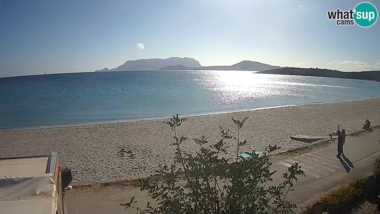 La webcam spiaggia Pittulongu vicino Olbia – Sardegna