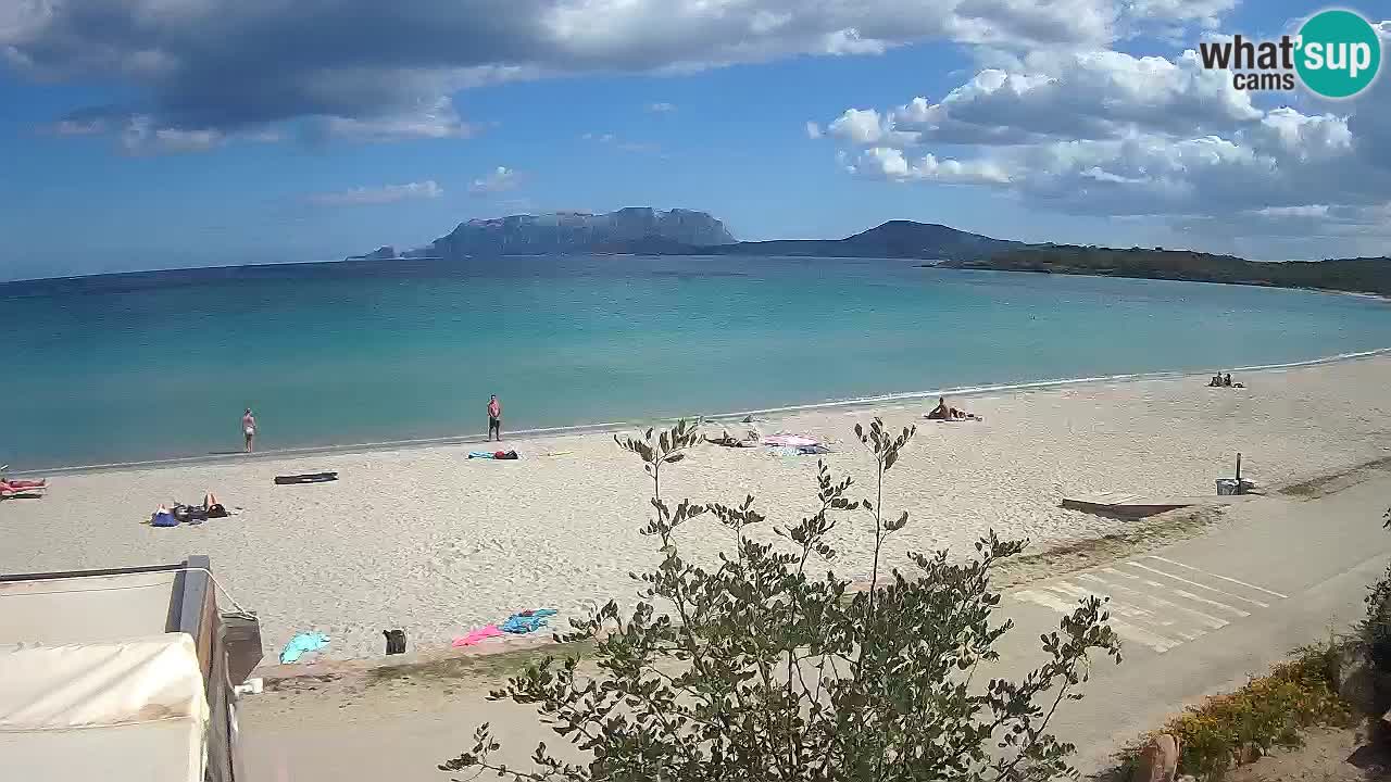 The beach of Pittulongu live webcam Olbia – Sardinia – Italy