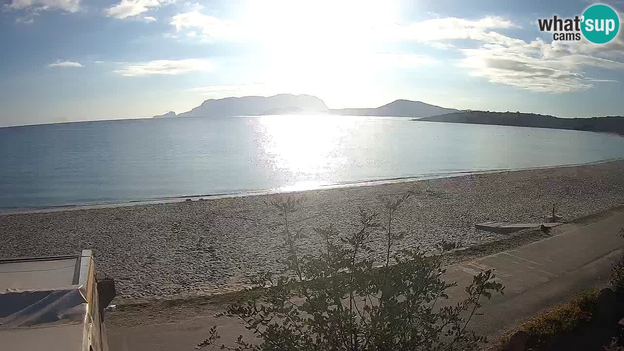 The beach of Pittulongu live webcam Olbia – Sardinia – Italy