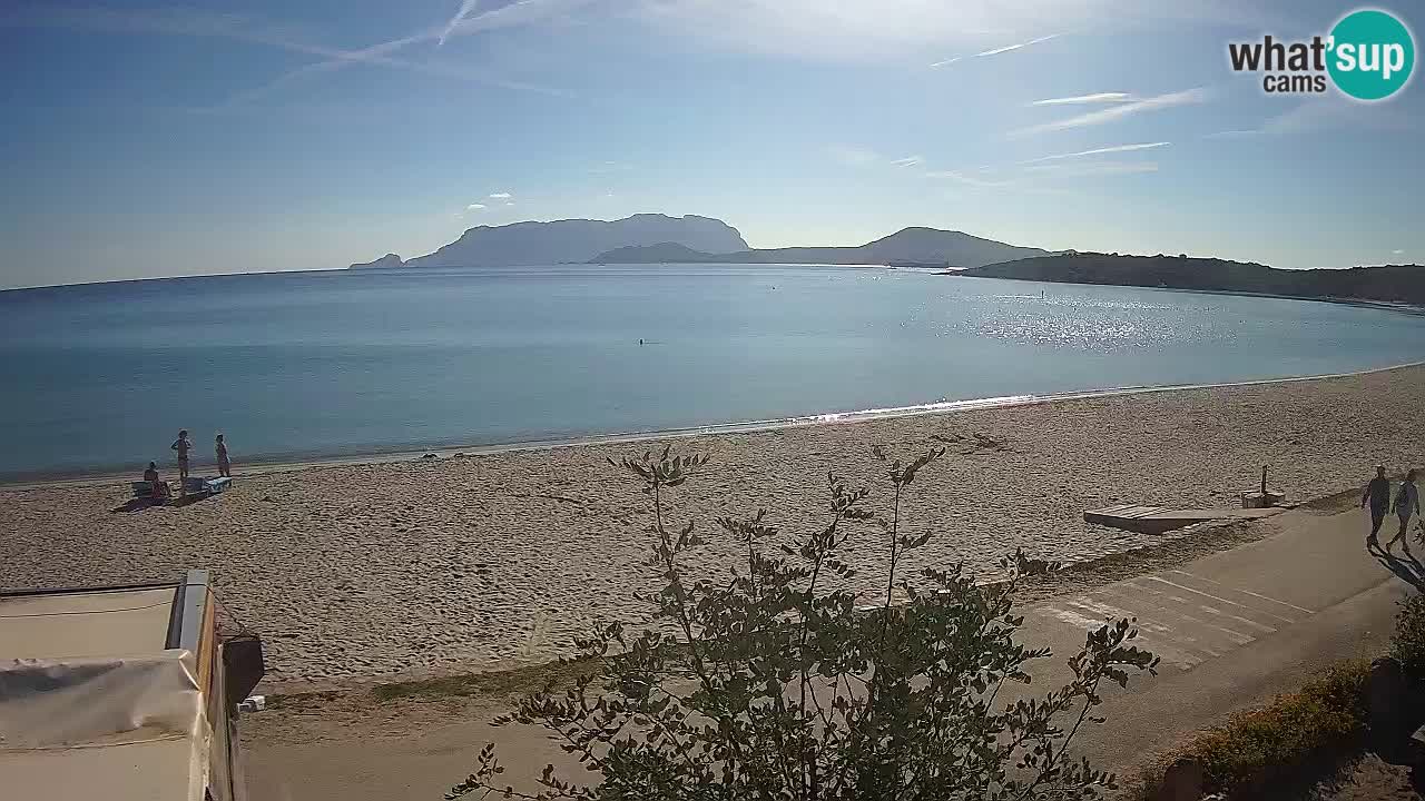 La plage de Pittulongu en direct webcam Olbia – Sardaigne – Italie