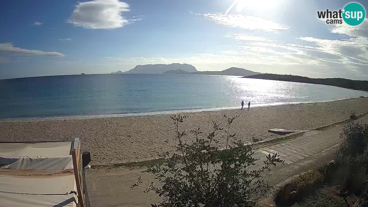 The beach of Pittulongu live webcam Olbia – Sardinia – Italy