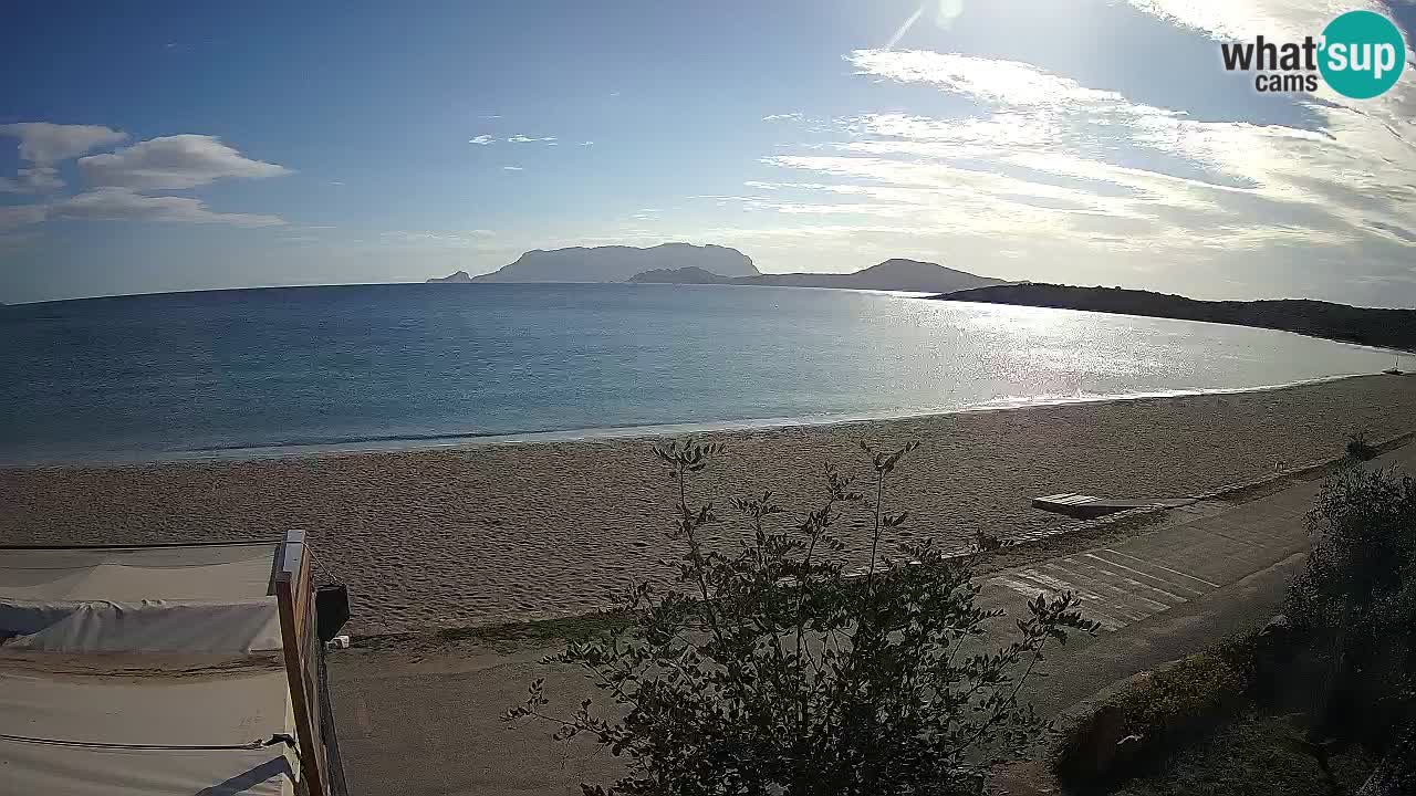 La webcam spiaggia Pittulongu vicino Olbia – Sardegna