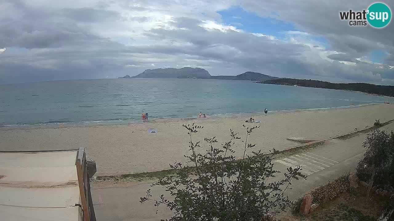 La playa de Pittulongu webcam en vivo Olbia – Cerdeña – Italia