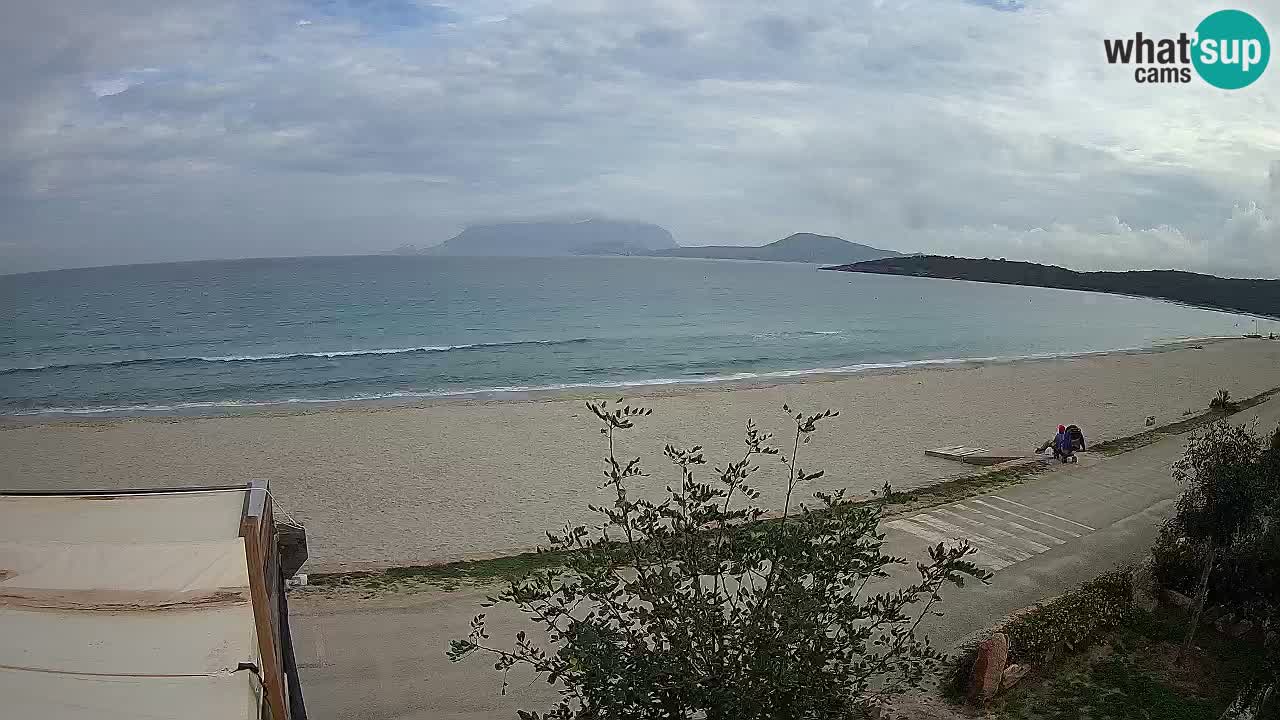 The beach of Pittulongu live webcam Olbia – Sardinia – Italy