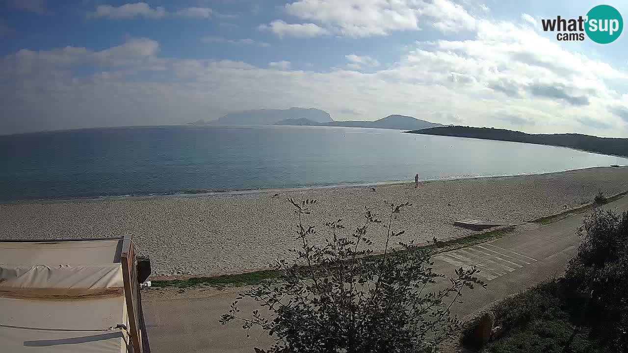 Der Strand von Pittulongu Live-Webcam Olbia – Sardinien – Italien