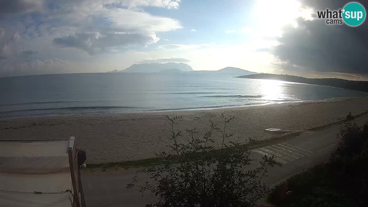 La playa de Pittulongu webcam en vivo Olbia – Cerdeña – Italia