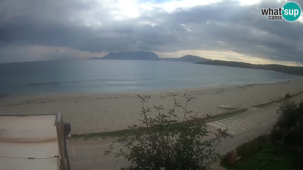 La playa de Pittulongu webcam en vivo Olbia – Cerdeña – Italia