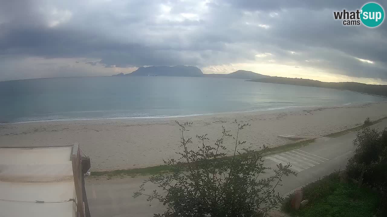 La webcam spiaggia Pittulongu vicino Olbia – Sardegna