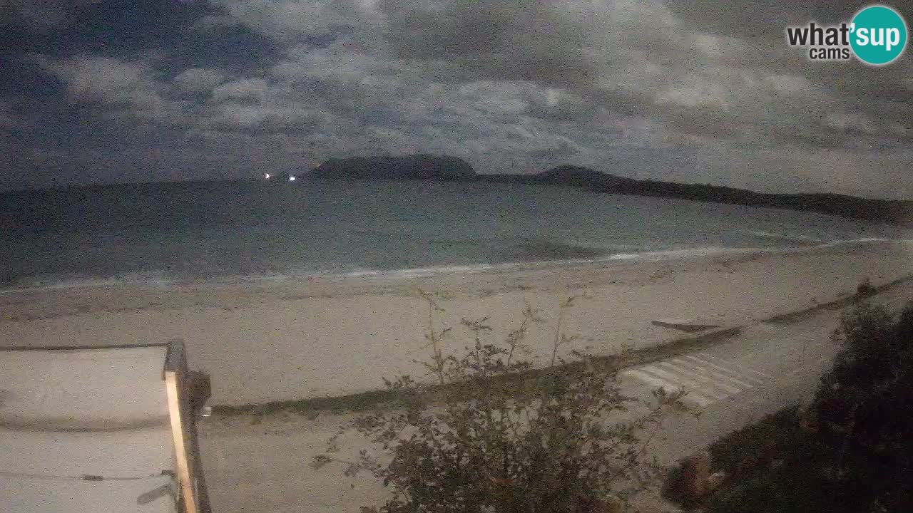 La webcam spiaggia Pittulongu vicino Olbia – Sardegna