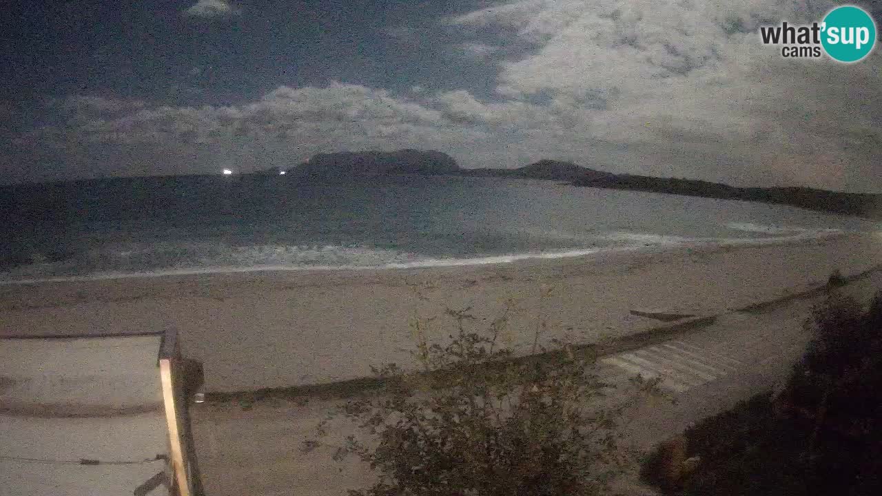 Der Strand von Pittulongu Live-Webcam Olbia – Sardinien – Italien