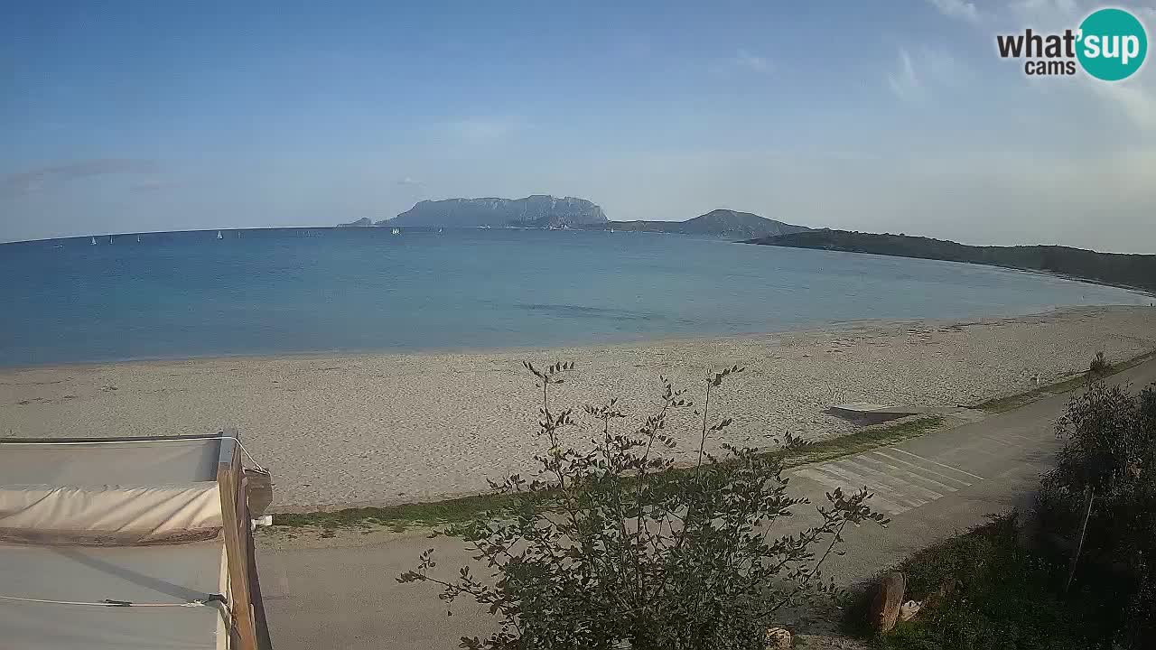 The beach of Pittulongu live webcam Olbia – Sardinia – Italy