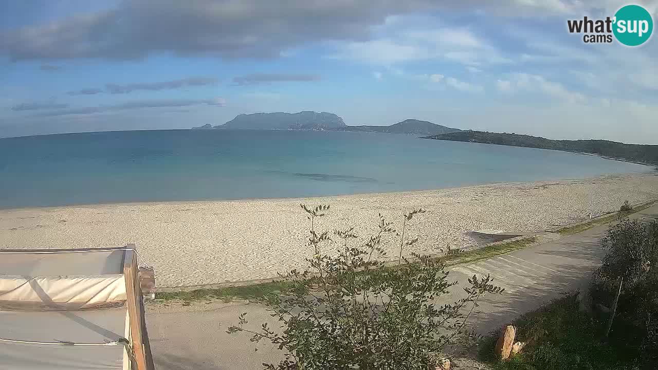 Plaža Pittulongu spletna kamera v živo Olbia – Sardinija – Italija