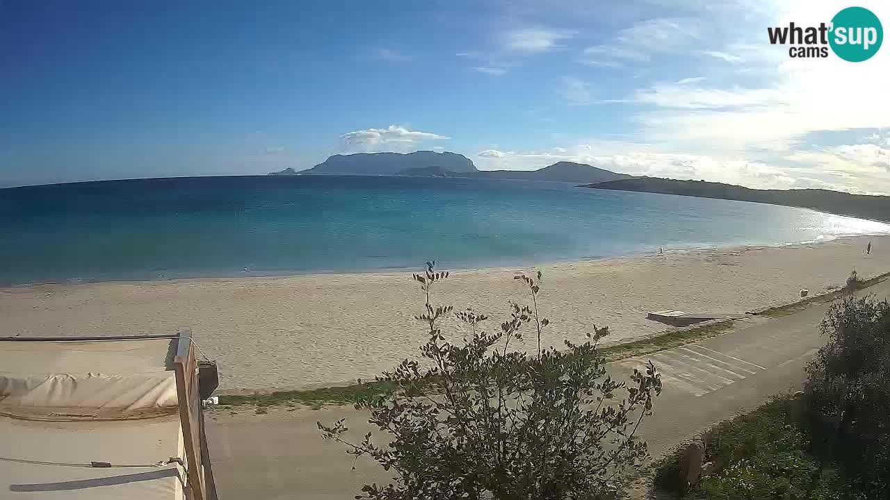 Plaža Pittulongu spletna kamera v živo Olbia – Sardinija – Italija