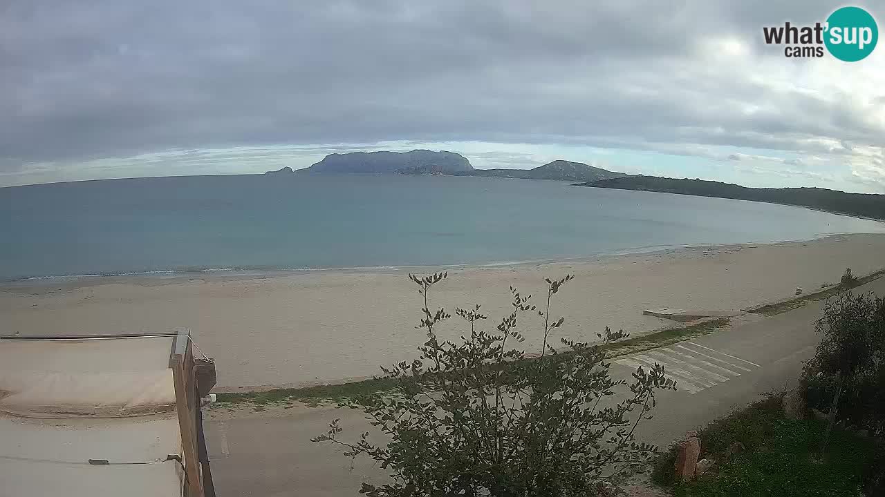 Der Strand von Pittulongu Live-Webcam Olbia – Sardinien – Italien