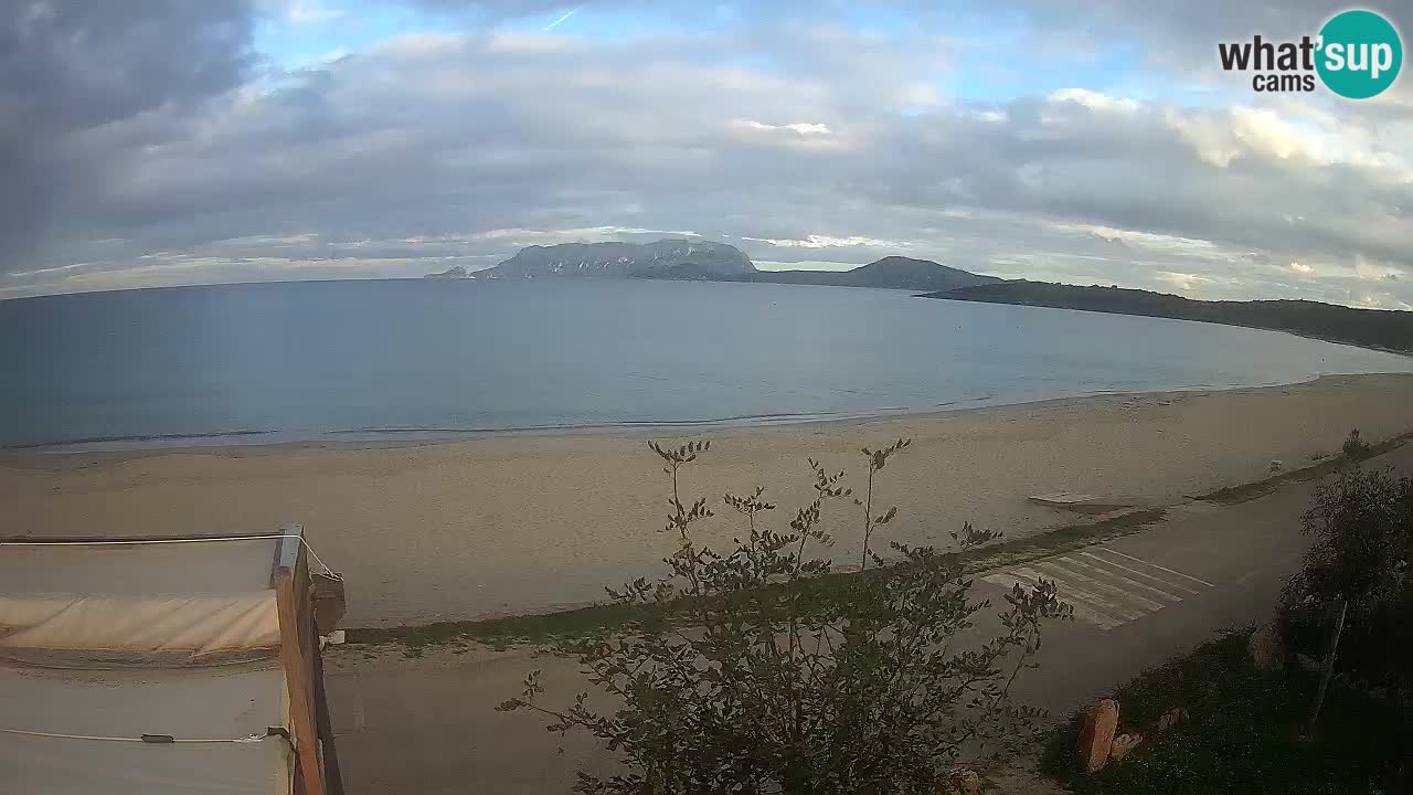 Der Strand von Pittulongu Live-Webcam Olbia – Sardinien – Italien