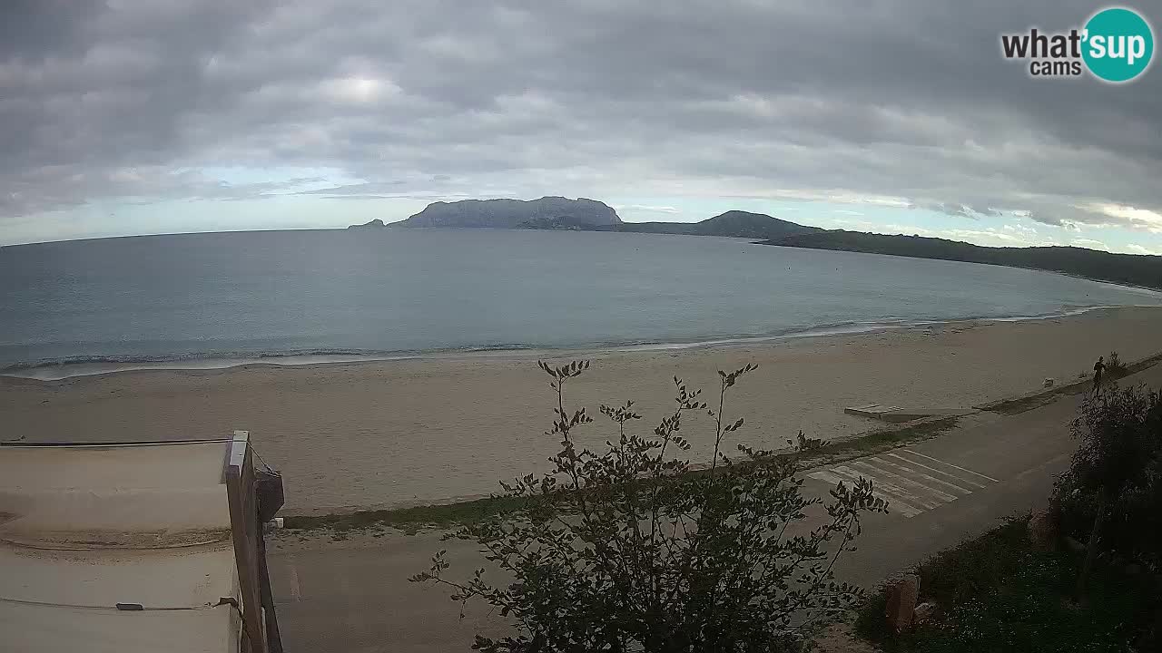 La webcam spiaggia Pittulongu vicino Olbia – Sardegna