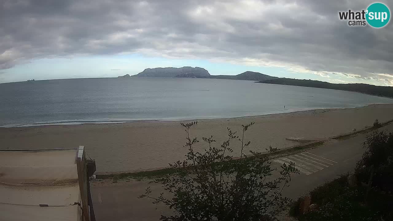 Der Strand von Pittulongu Live-Webcam Olbia – Sardinien – Italien