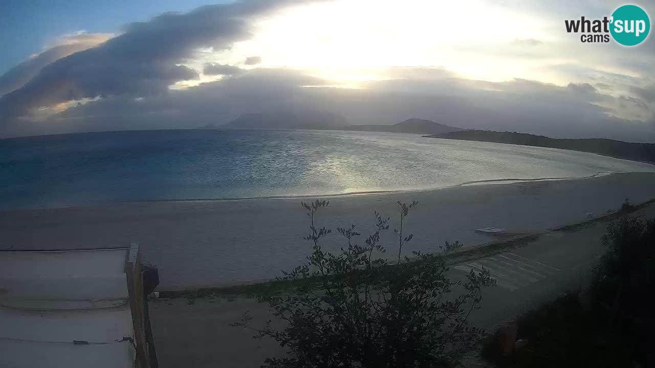 Der Strand von Pittulongu Live-Webcam Olbia – Sardinien – Italien