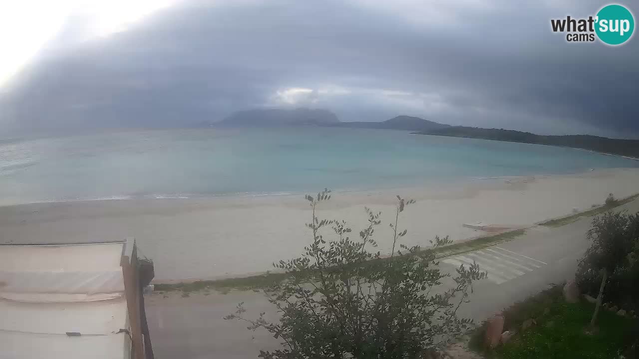 La webcam spiaggia Pittulongu vicino Olbia – Sardegna