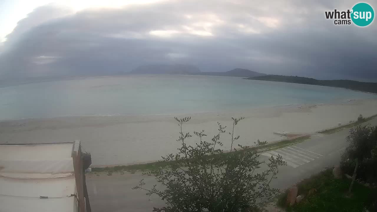 La webcam spiaggia Pittulongu vicino Olbia – Sardegna