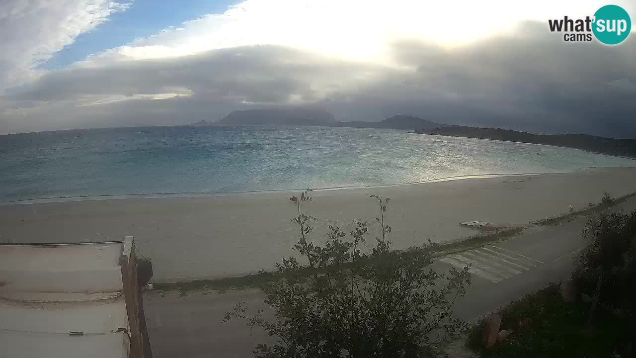 La webcam spiaggia Pittulongu vicino Olbia – Sardegna