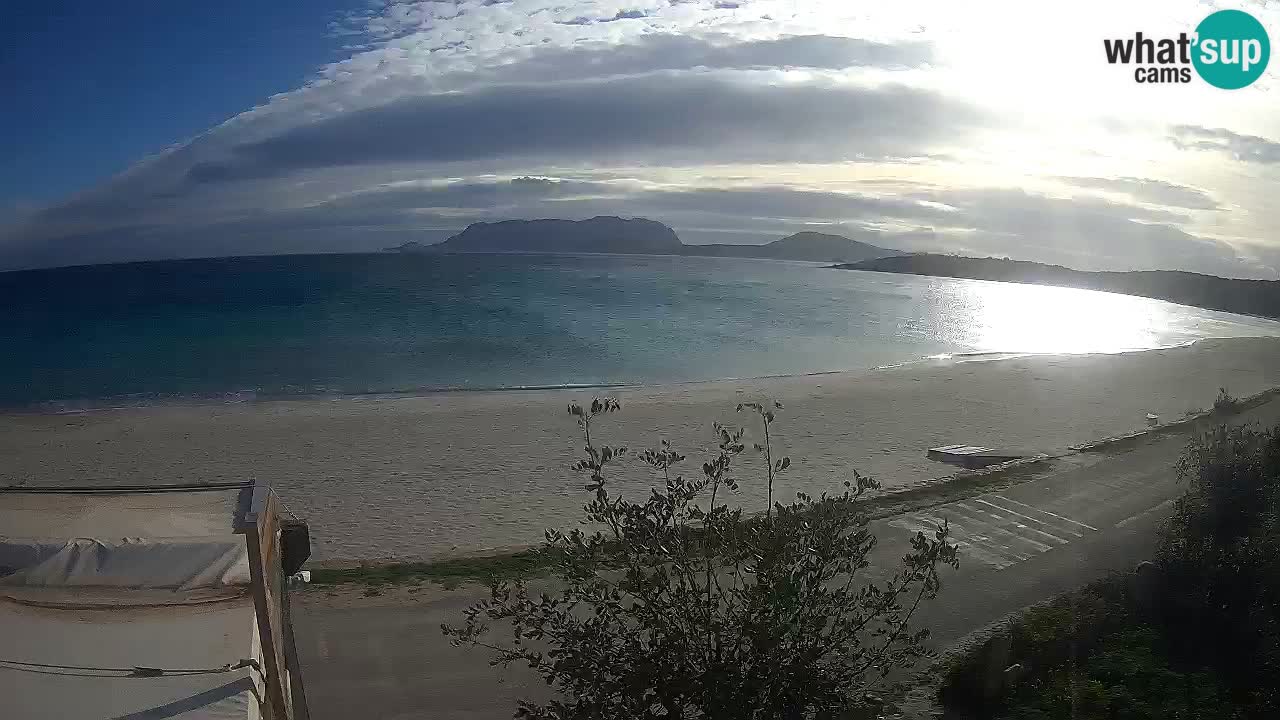 La webcam spiaggia Pittulongu vicino Olbia – Sardegna