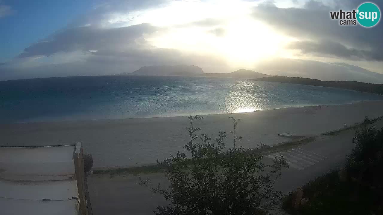 Der Strand von Pittulongu Live-Webcam Olbia – Sardinien – Italien