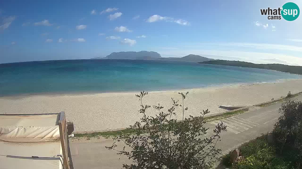 La webcam spiaggia Pittulongu vicino Olbia – Sardegna