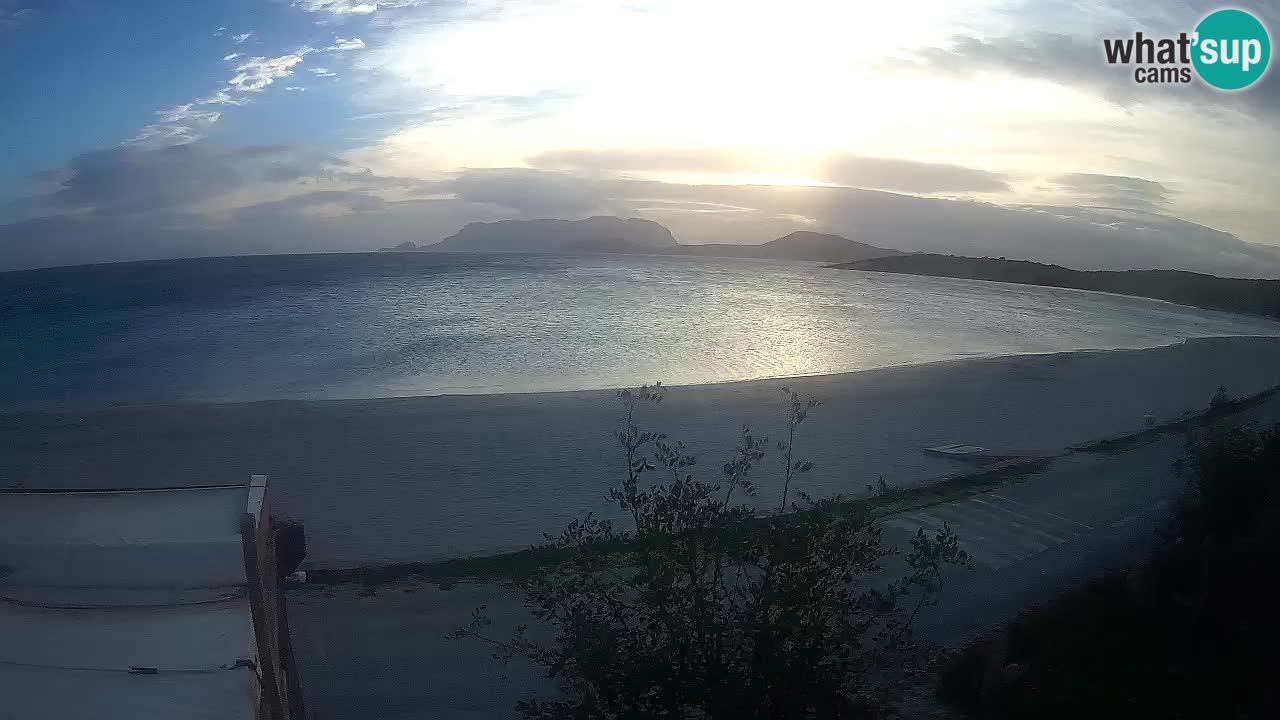 La webcam spiaggia Pittulongu vicino Olbia – Sardegna