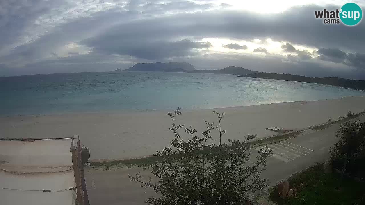 La playa de Pittulongu webcam en vivo Olbia – Cerdeña – Italia