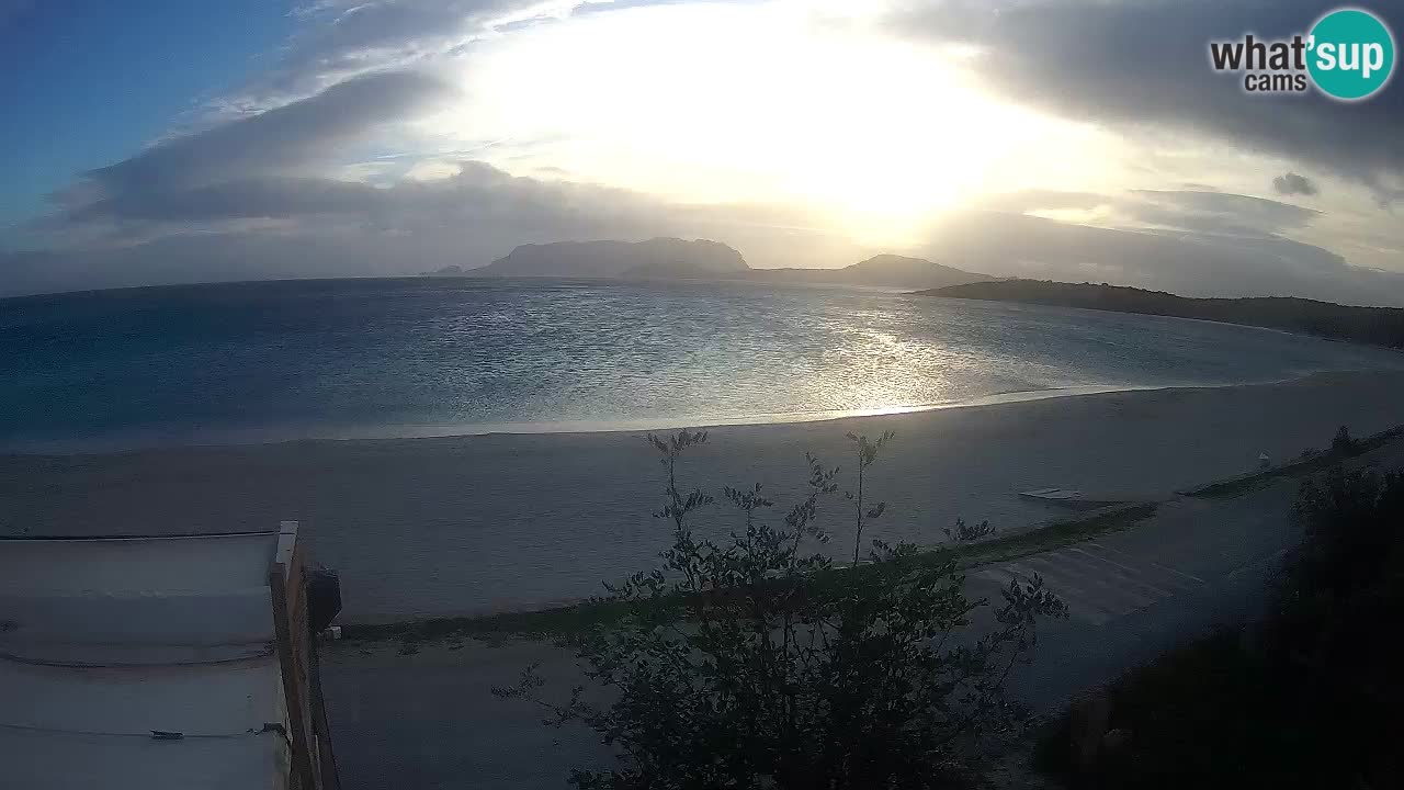 La webcam spiaggia Pittulongu vicino Olbia – Sardegna