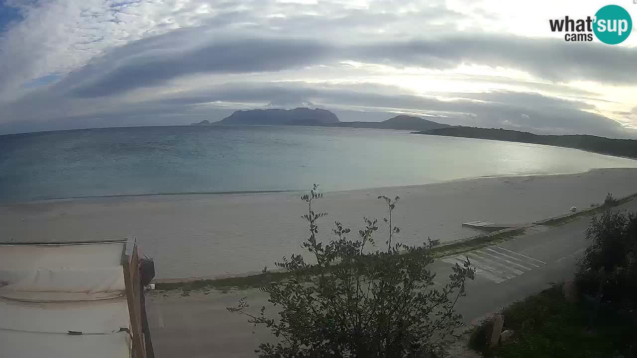 Der Strand von Pittulongu Live-Webcam Olbia – Sardinien – Italien