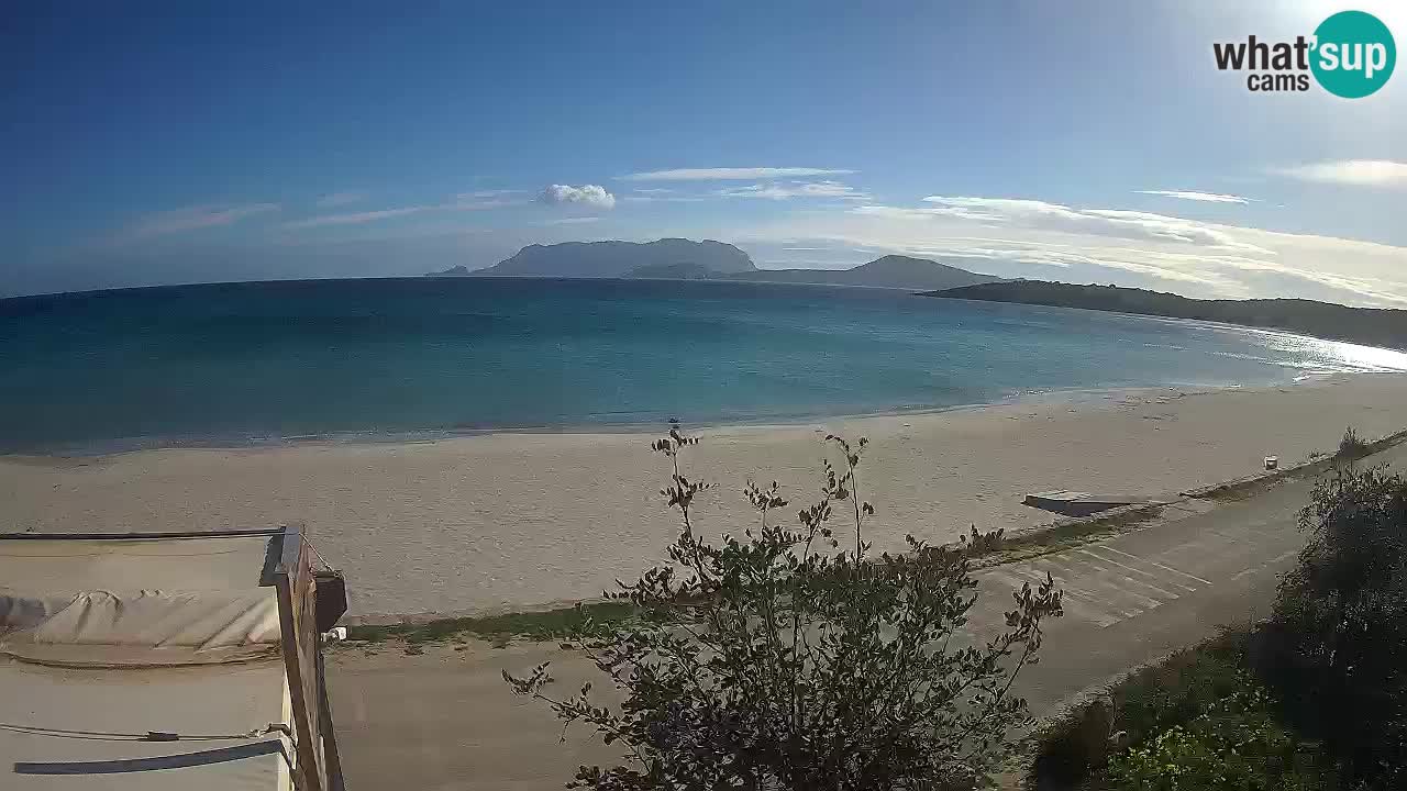 Plaža Pittulongu spletna kamera v živo Olbia – Sardinija – Italija