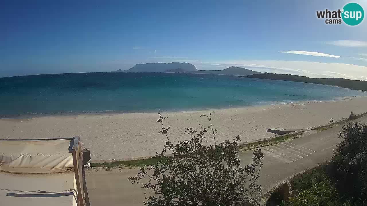 Der Strand von Pittulongu Live-Webcam Olbia – Sardinien – Italien