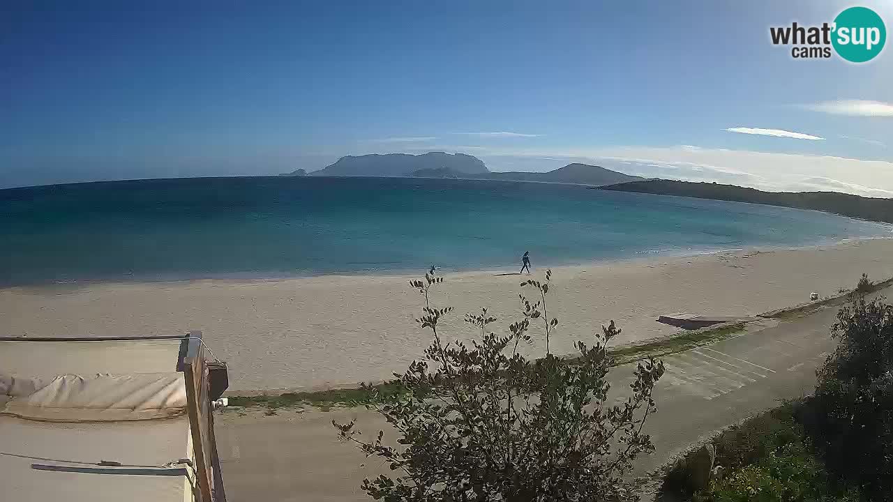 Plaža Pittulongu spletna kamera v živo Olbia – Sardinija – Italija