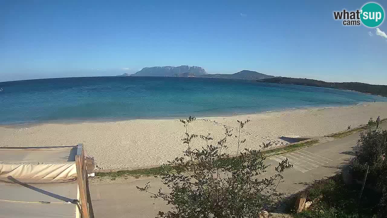 Der Strand von Pittulongu Live-Webcam Olbia – Sardinien – Italien