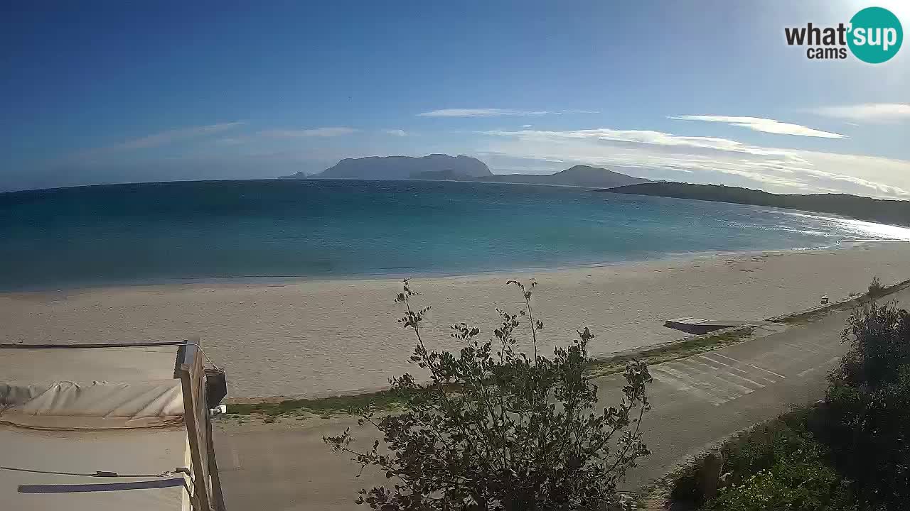 La playa de Pittulongu webcam en vivo Olbia – Cerdeña – Italia