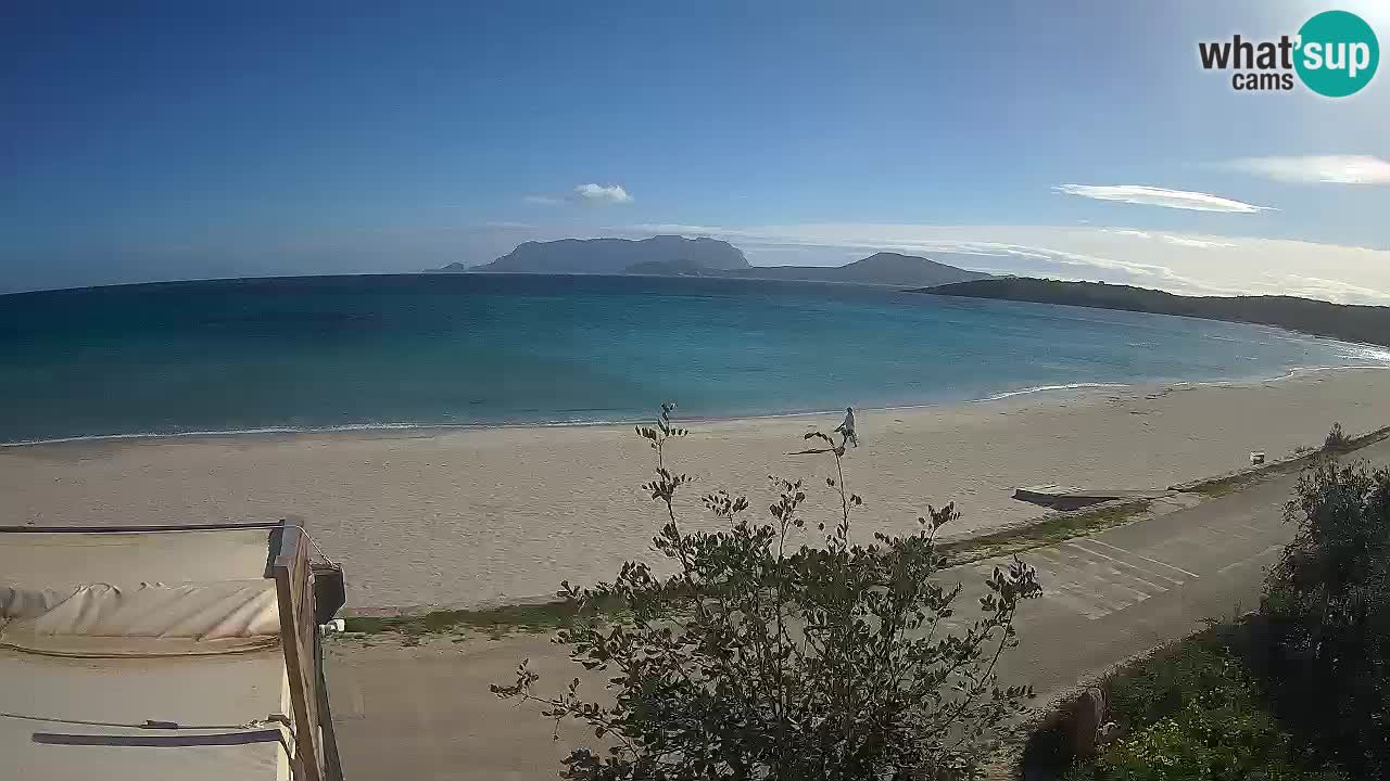 Plaža Pittulongu spletna kamera v živo Olbia – Sardinija – Italija