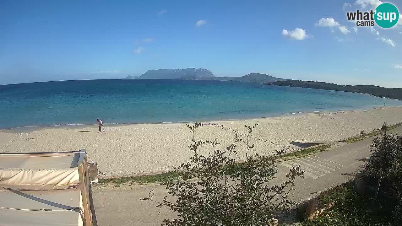 Der Strand von Pittulongu Live-Webcam Olbia – Sardinien – Italien