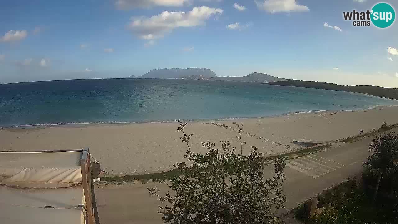 Plaža Pittulongu spletna kamera v živo Olbia – Sardinija – Italija